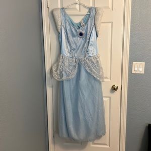 Cinderella Halloween costume